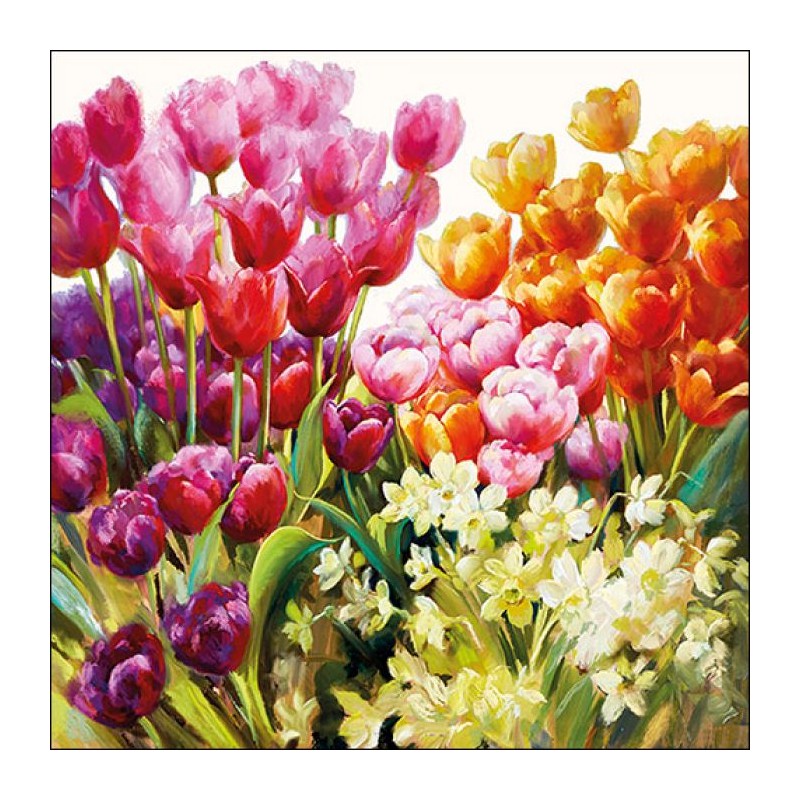 Serviettes Ambiente 25x25cm Tulipes 20 pcs