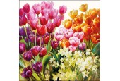 Ambiente Servetten 25x25cm Tulips 20 stuks