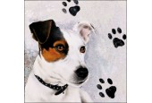Serviettes Ambiente 33x33cm Jack Russel 20 pièces
