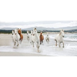 Tableau Chevaux sauvages 40x80cm sous cadre en bois noir