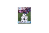 Tafelvoetbalballetjes Zwart/wit 5st