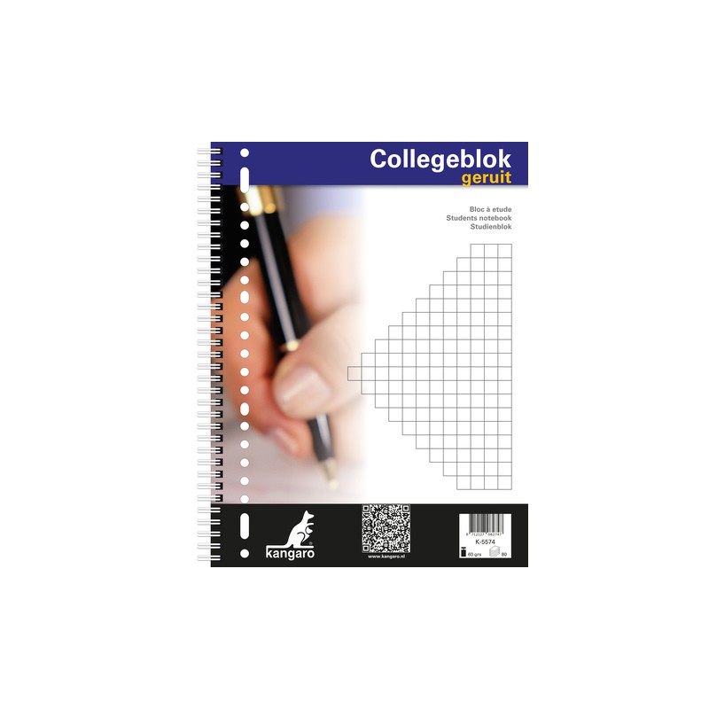 pspan style"font-size: 12px;"Bloc College A4 diamant 10mm 23r 5 pièces/spanbr/p