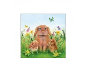 Ambiente Servetten Rabbit Family 25cm 20 Stuks
