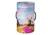 Puzzle en tube Hollande 108 pièces Champ de tulipes