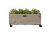 Esschert Design Plantenbak Vurenhout Op Wielen 39x59xh24,7cm ( Exclusief Planten