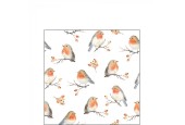 Serviettes Ambiente Famille Robin 33x33cm