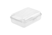 Rotho Lunchbox Fun moyen 1,25L transparent