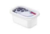 Rotho Domino Coffret congélateur 4 pièces 0,2L décor étiquette inscriptible