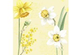 Duni Servetten Spring Daffodil 33x33cm 3-laags tissue FSC pak a 20 servetten