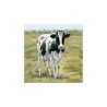 Tableau Vache Fourrure Noire 40x40cm dans cadre en bois blanc