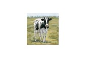 Tableau Vache Fourrure Noire 40x40cm dans cadre en bois blanc