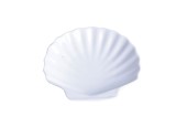 Coquillage porcelaine 12x12cm