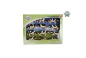 Kids Globe koeien zwart/wit liggend en staand 12stuks 1:32