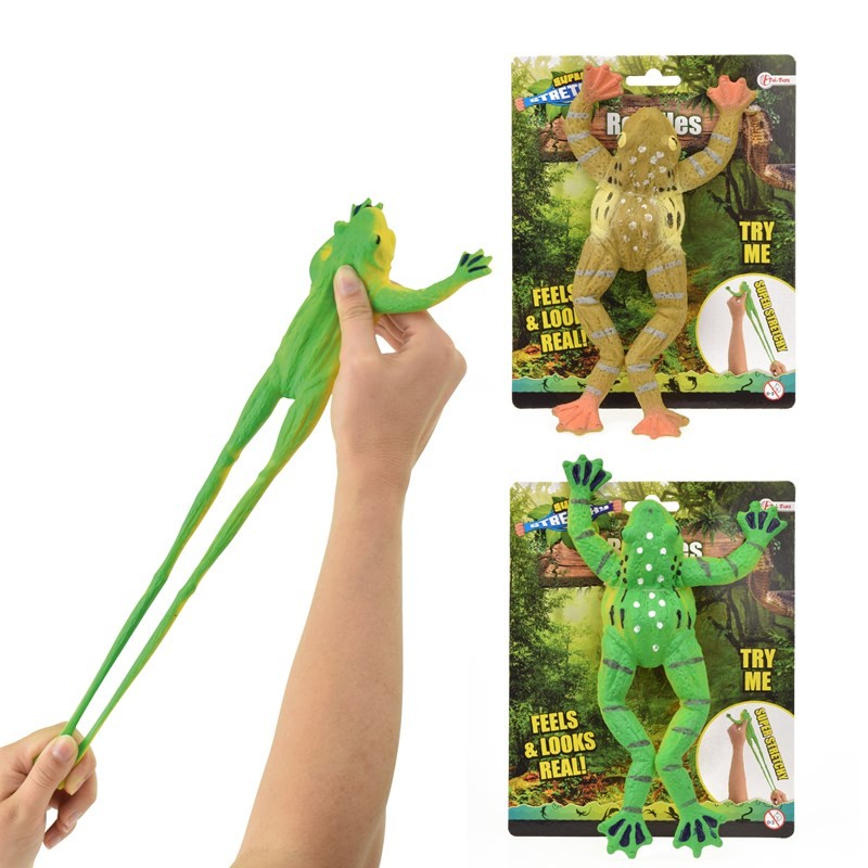Toi Toys Grenouille réaliste sur carte