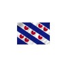 Friese vlag 50x75 cm spun-poly