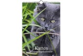 Calendrier anniversaire photo chat A4 30x21cm