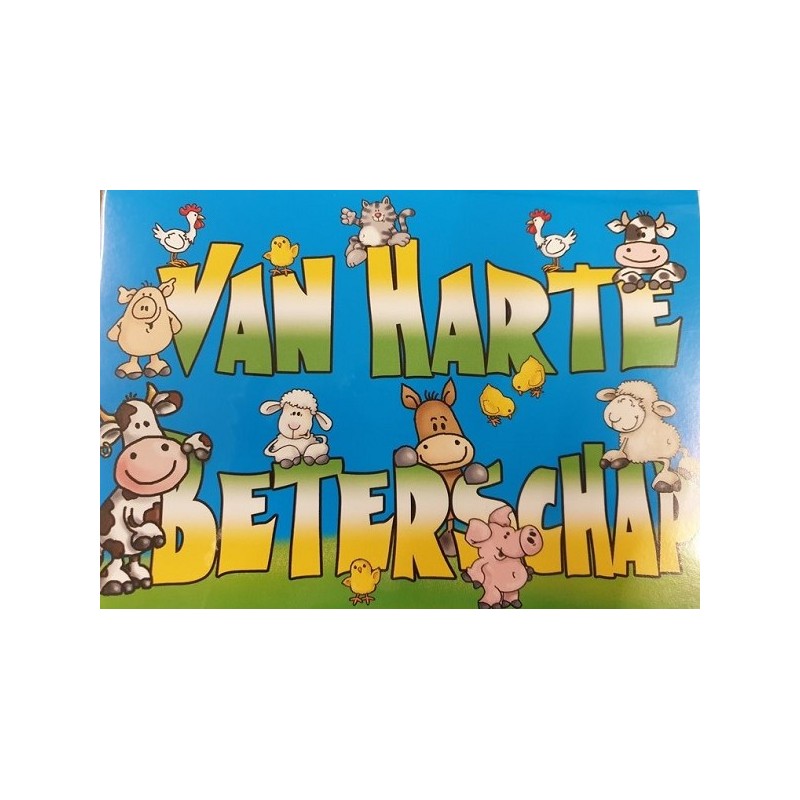 Wenskaarten Beterschap pakje a 10 stuks met envelop