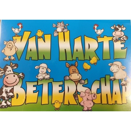 Wenskaarten Beterschap pakje a 10 stuks met envelop