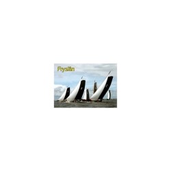 Magneet 3-D Fryslan