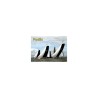 Magneet 3-D Fryslan