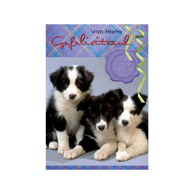 Cartes de vœux Joyeux anniversaire animal paquet de 10 pièces avec enveloppe.