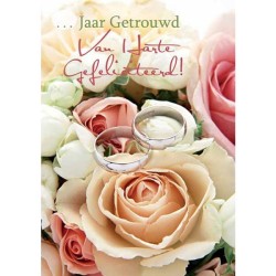 Cartes de vœux .... paquet marié de 10 pièces avec enveloppe