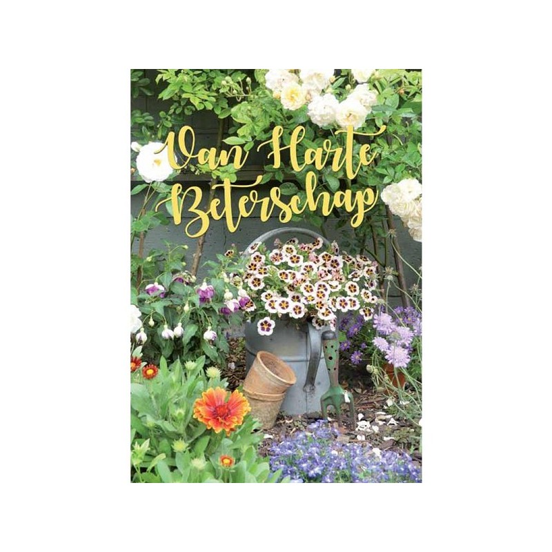 Wenskaarten Beterschap pakje a 10 stuks met envelop