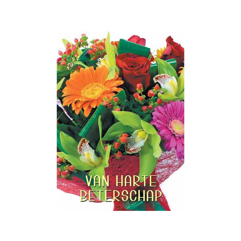 Wenskaarten Beterschap pakje a 10 stuks met envelop