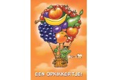 Wenskaarten Opkikker pakje a 10 stuks met envelop
