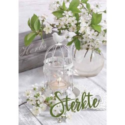 Cartes de vœux Force pack de 10 pièces avec enveloppe