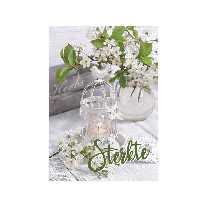 Wenskaarten Sterkte pakje a 10 stuks met envelop