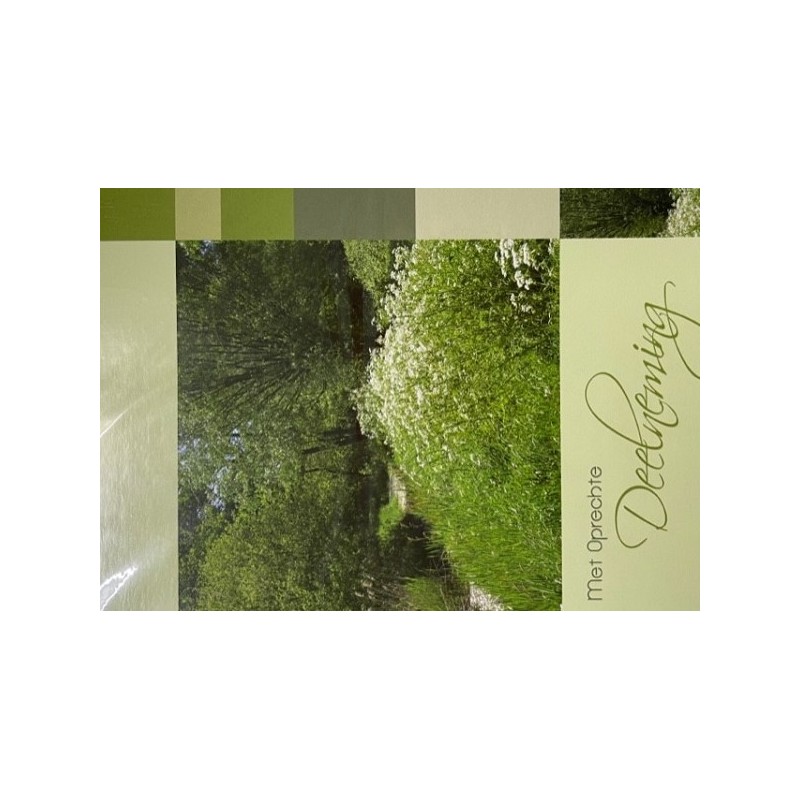 Cartes de vœux avec sincères condoléances paquet de 10 pièces avec enveloppe