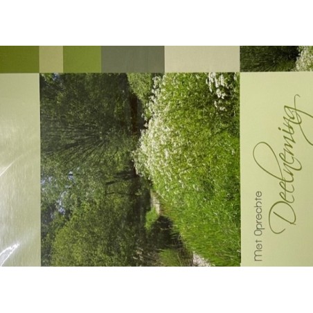 Cartes de vœux avec sincères condoléances paquet de 10 pièces avec enveloppe