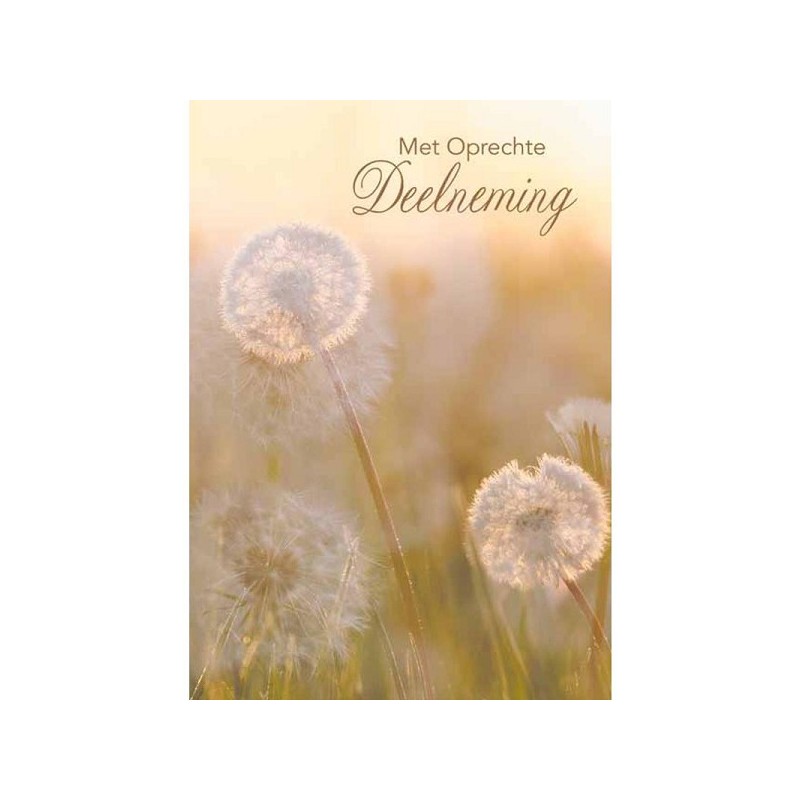 Wenskaarten met Oprechte Deelneming pakje a 10 stuks met envelop