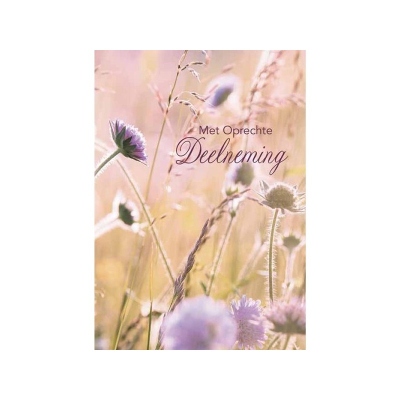 Cartes de vœux avec sincères condoléances paquet de 10 pièces avec enveloppe