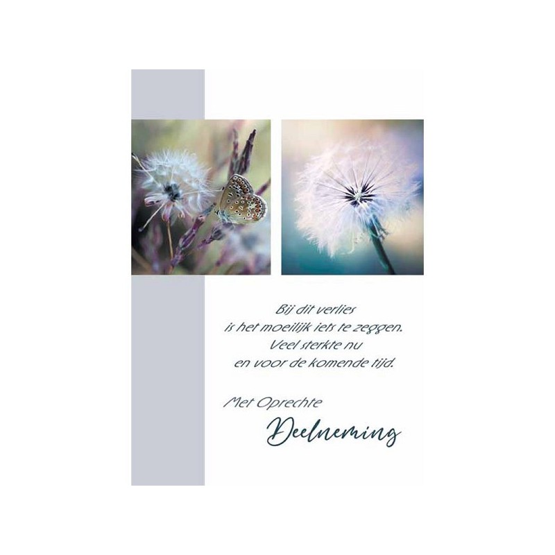 Cartes de vœux avec pack de sorts Sincères Condoléances de 10 pièces avec enveloppe