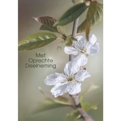 Cartes de vœux avec sincères condoléances paquet de 10 pièces avec enveloppe