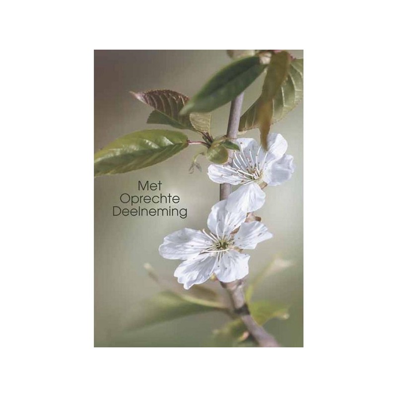 Cartes de vœux avec sincères condoléances paquet de 10 pièces avec enveloppe