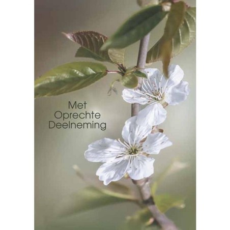 Cartes de vœux avec sincères condoléances paquet de 10 pièces avec enveloppe