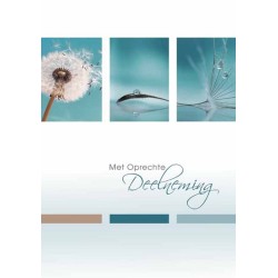 Cartes de vœux avec sincères condoléances paquet de 10 pièces avec enveloppe