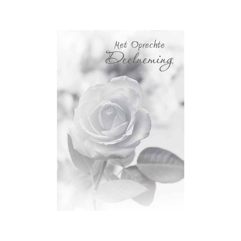 Cartes de vœux avec sincères condoléances paquet de 10 pièces avec enveloppe