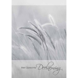 Cartes de vœux avec sincères condoléances paquet de 10 pièces avec enveloppe