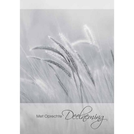 Cartes de vœux avec sincères condoléances paquet de 10 pièces avec enveloppe