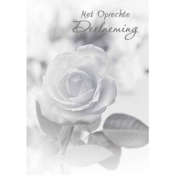 Cartes de vœux avec sincères condoléances paquet de 10 pièces avec enveloppe