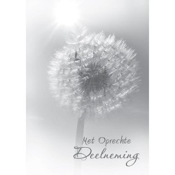 Cartes de vœux avec sincères condoléances paquet de 10 pièces avec enveloppe