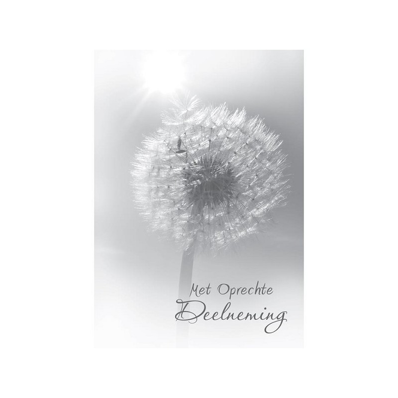 Cartes de vœux avec sincères condoléances paquet de 10 pièces avec enveloppe