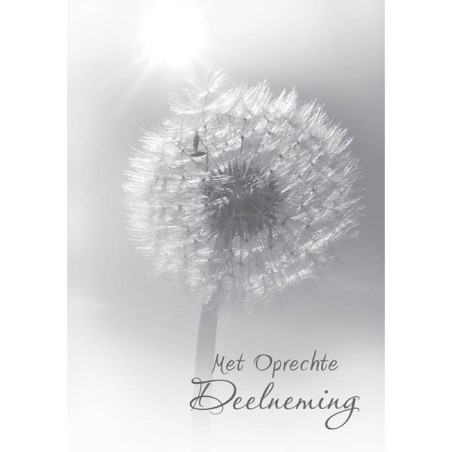 Cartes de vœux avec sincères condoléances paquet de 10 pièces avec enveloppe