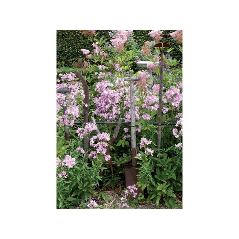 Wenskaarten blanco bloem pakje a 10 stuks met envelop