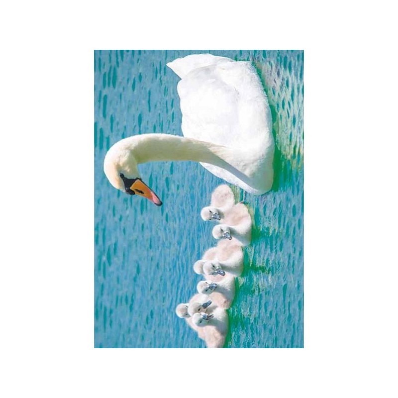 Paquet de cartes de vœux d'animaux vierges de 10 pièces avec enveloppe