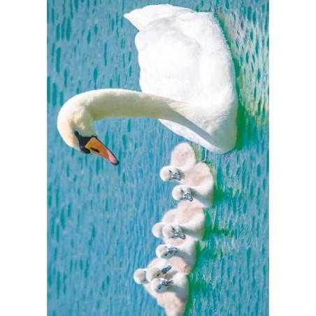 Paquet de cartes de vœux d'animaux vierges de 10 pièces avec enveloppe